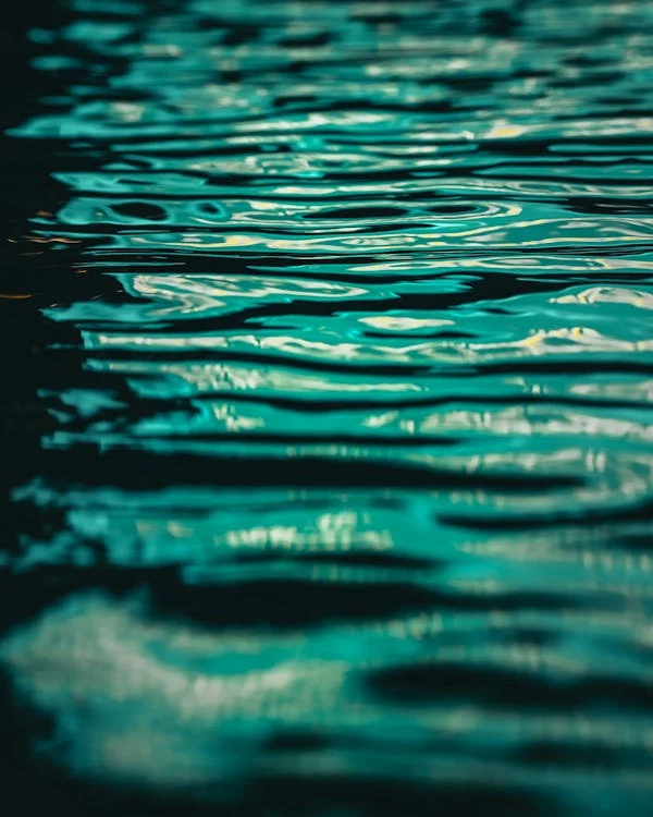 15 acciones para ahorrar agua en tu hogar