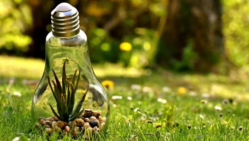 una bombilla con una planta dentro como respeto al medio ambiente